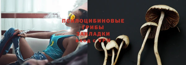 spice Арсеньев