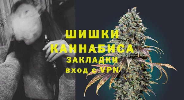 spice Арсеньев