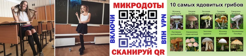 Галлюциногенные грибы Psilocybine cubensis Чаплыгин