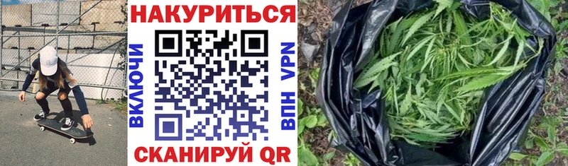 Бошки Шишки SATIVA & INDICA  как найти закладки  Чаплыгин 